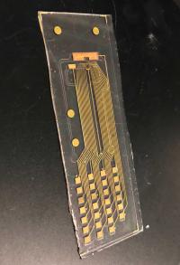 Proton pump array