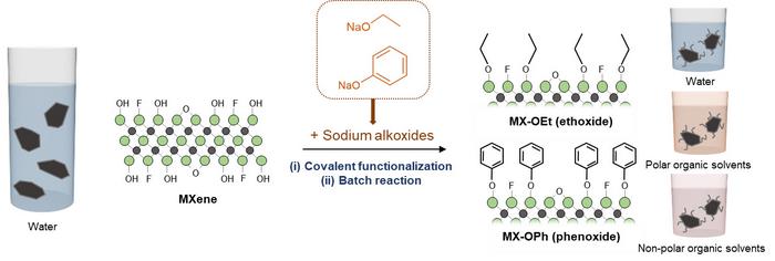 [Figure 1] Illustration for the synthesis of amphiphilic MXene using alkoxide molecules