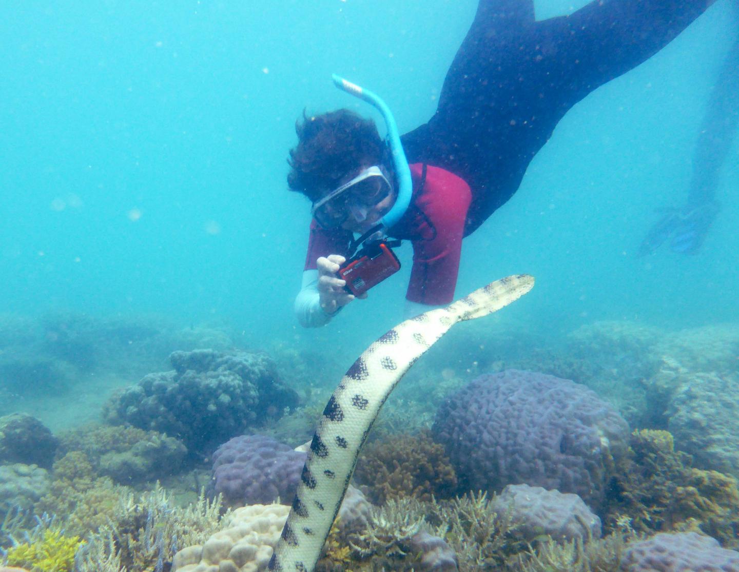 Fantastic Grandmother Monique Mazière Photographing Sea Snake Number 79, Nicknamed Déborah