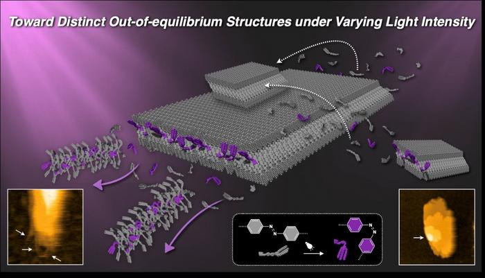 How dimensionally distinct supramolecular structures arise under different light intensities