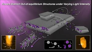 How dimensionally distinct supramolecular structures arise under different light intensities