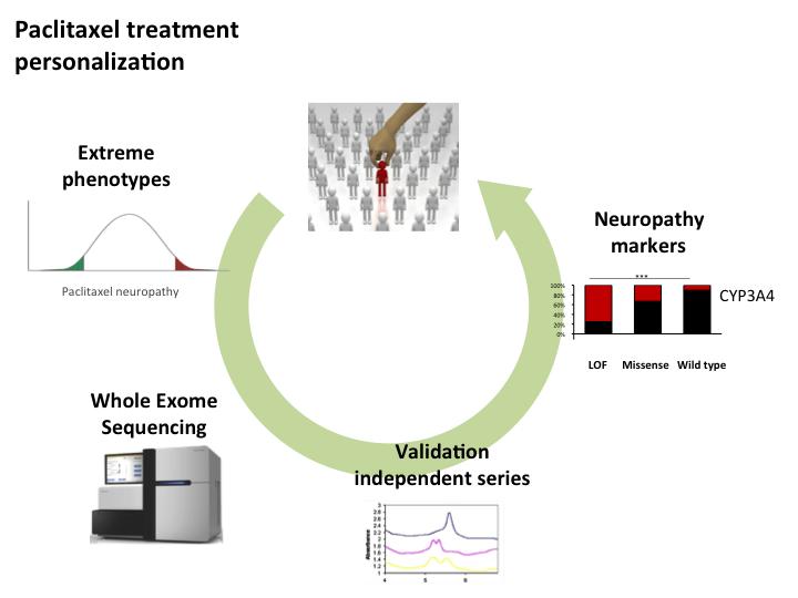 CNIO Study Scheme