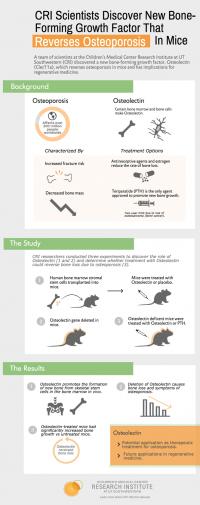 Infographic