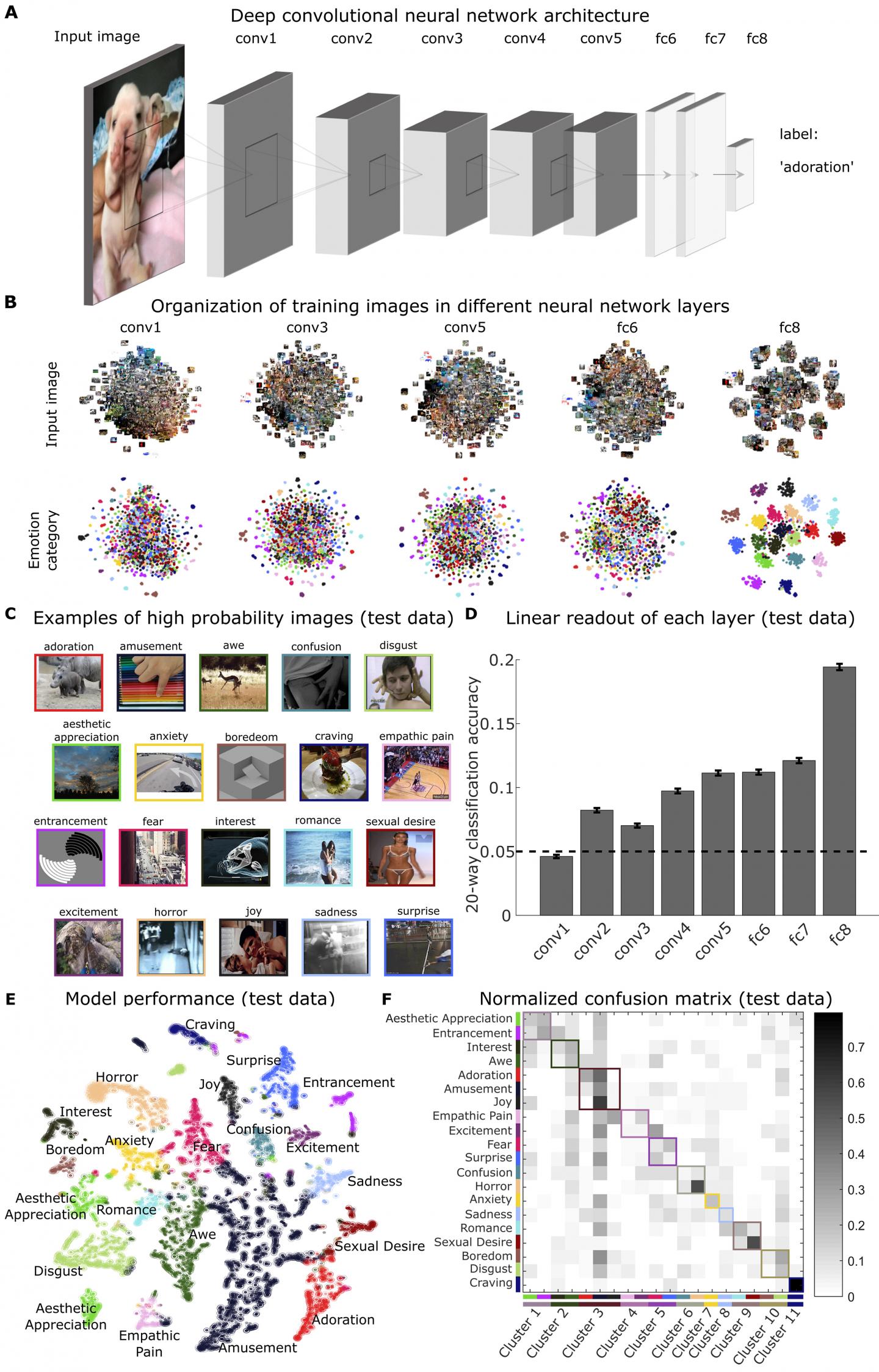 Artificial Neural Network Reveals How Emotions are Embedded in the Human Visual System (2 of 2)