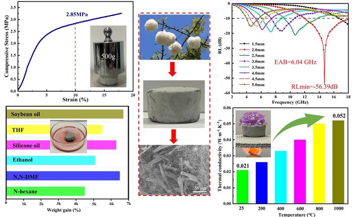 Microstructure and application of SiC aerogel