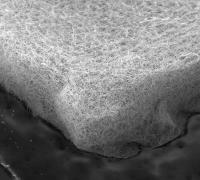 Nickel Felt electrode - microscopic