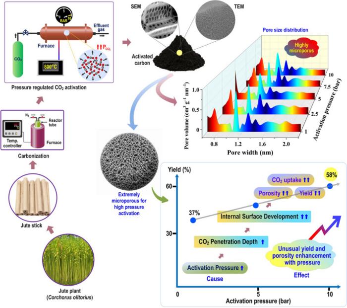 Functionalized biochar with pressurized CO₂ activation: toward superior porosity, yield, and CO₂ capture efficiency