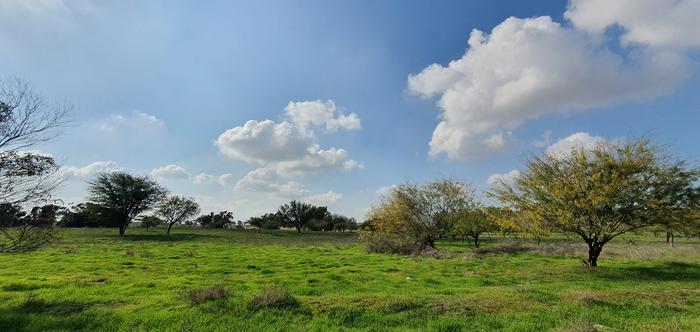 The research site near Reim Junction