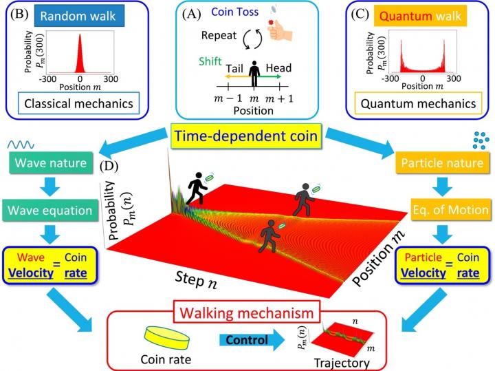 Schematic Diagram Of This Study