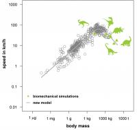 Model Results for Dinosaurs