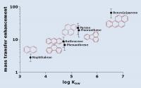Transport of PAH by Ciliates