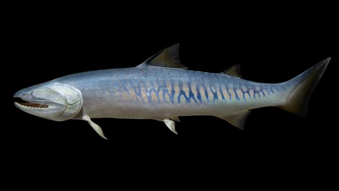 Life reconstruction of the biggest Silurian vertebrate Megamastax amblyodus