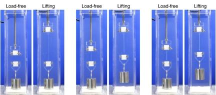 Double-Network Hydrogel Stretching Process
