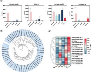 Figure 2. Screening of RhaGTs on the basis of metabolite content, gene annotation, and expression levels in distinct tissues of T. tschonoskii.