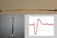 Nerve Signal Magnetometer