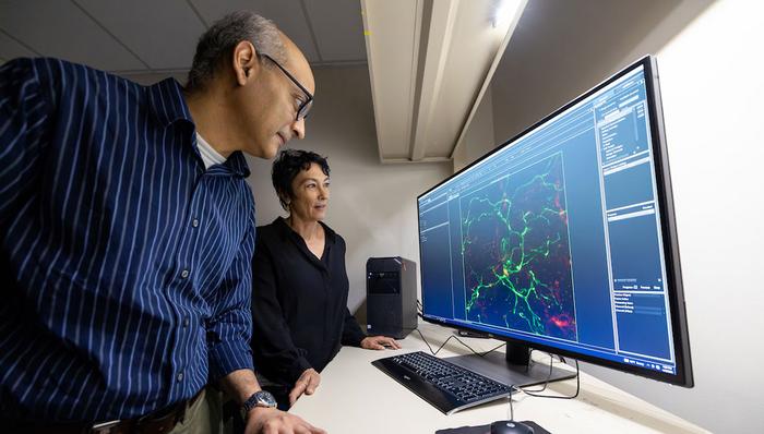 Dementia research