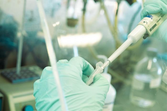 In vitro transcription system