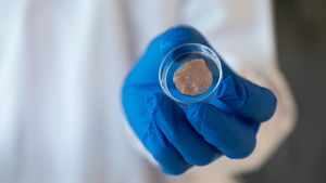 Plant-based scaffold for cultured meat 2