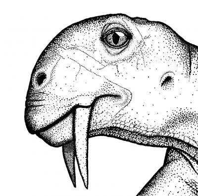 <i>Tiarajudens eccentricus</i> is a Mouthful (of Teeth) (1 of 3)
