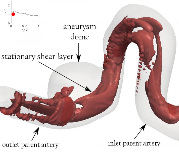 Vortex Ring Versus the Stationary Shear Layer