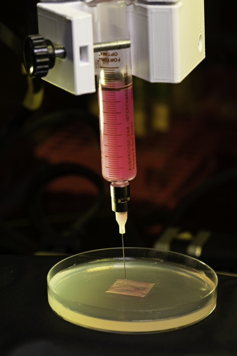 Bio-ink used to synthetically engineer and study biofilms