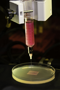 Bio-ink used to synthetically engineer and study biofilms