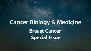 Video introducing the breast cancer special issue