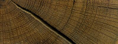Oak Rings
