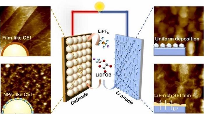 Dual-salt regulated interfacial evolution at cathode and anode in lithium metal batteries