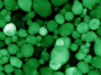 Science Image