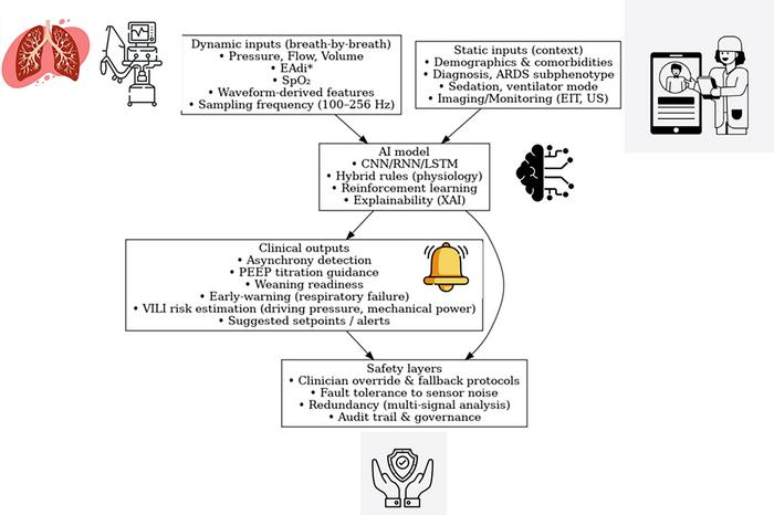Artificial intelligence integrates physiological and monitoring data from patients with ARDS to guide safer and more personalized mechanical ventilation