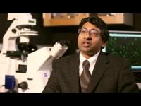 Hijacking Cancer's Migration Mechanism
