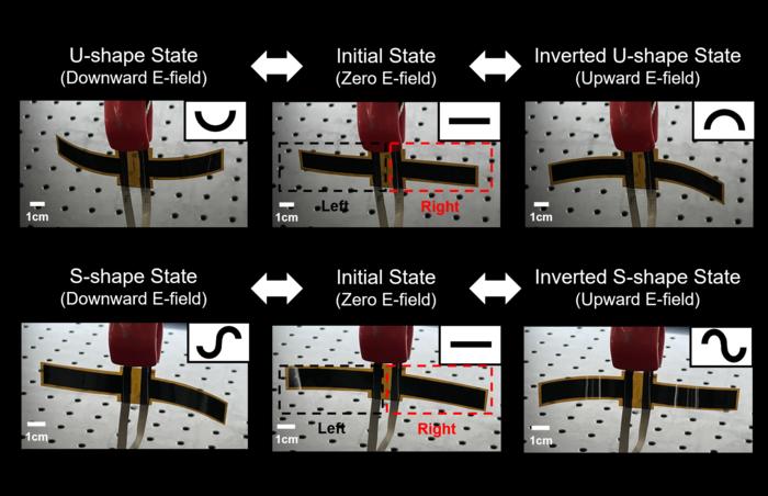 Multi Shape deformation without mechanical Hinge system
