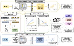 Fig. 1 | The overall analysis framework