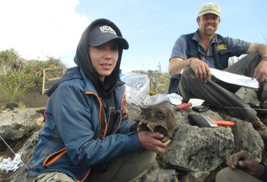 Peruvian Bioarcheologist