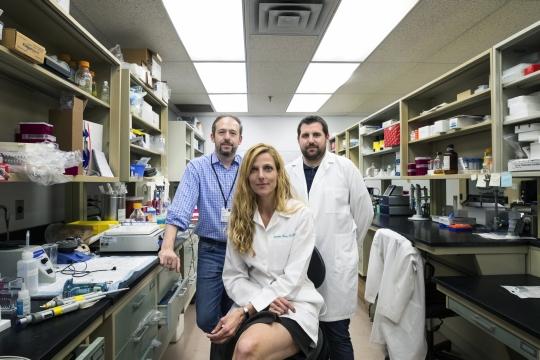 Researchers