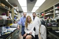 Researchers