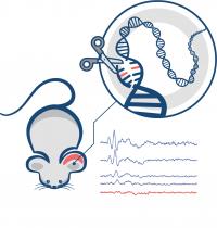 Hearing 1