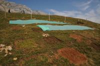 Experimental Site