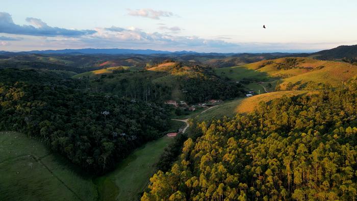 A fragmented rainforest landscape in Brazil’s Atlantic Forest