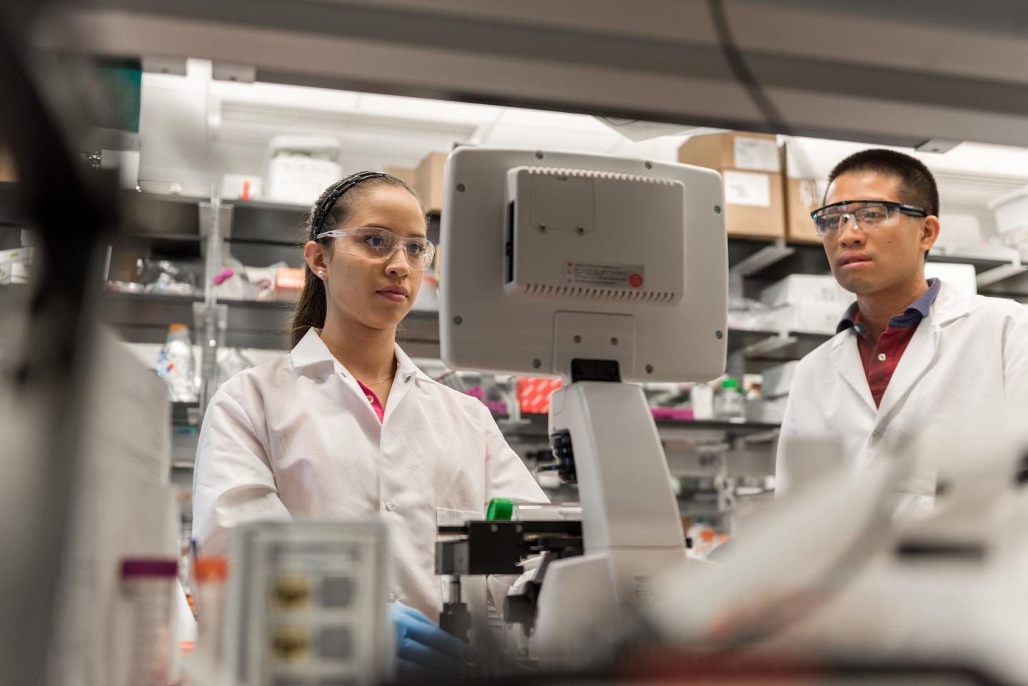 Cell Manufacturing Laboratory