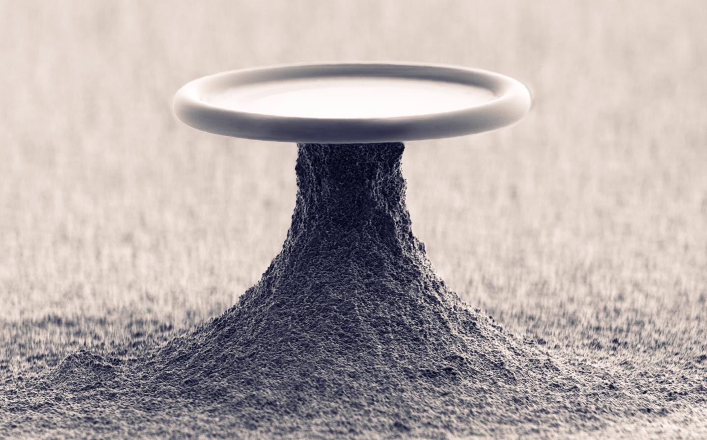 SEM Micrograph of a Microtoroidal Resonator