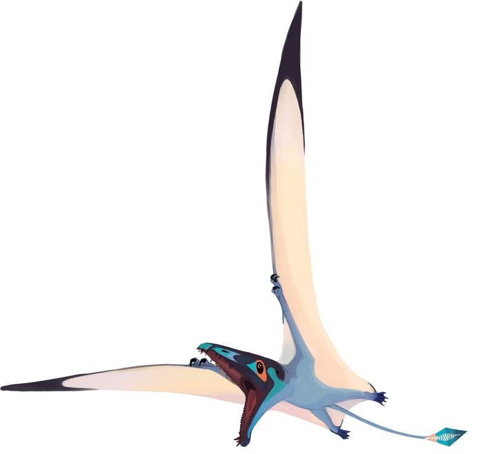 Pterosaur