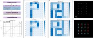 Fig. 4. Implementation workflow and experimental results of the monitoring gray-level to power-level mapping algorithm.