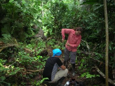 A Picture of the Amazon Before Columbus (1 of 6)