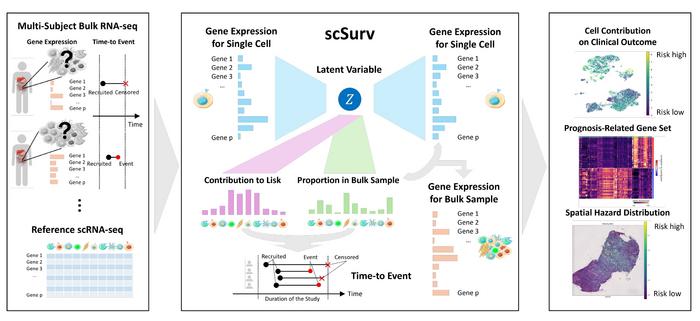 scSurv: A Deep Generative Model for Linking Single Cells to Patient Survival