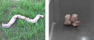 Undulating motion and rolling motion of a snake-like robot