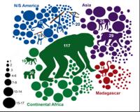 Most Researched Species