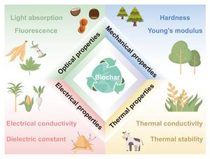 Unraveling the physical genome of biochar
