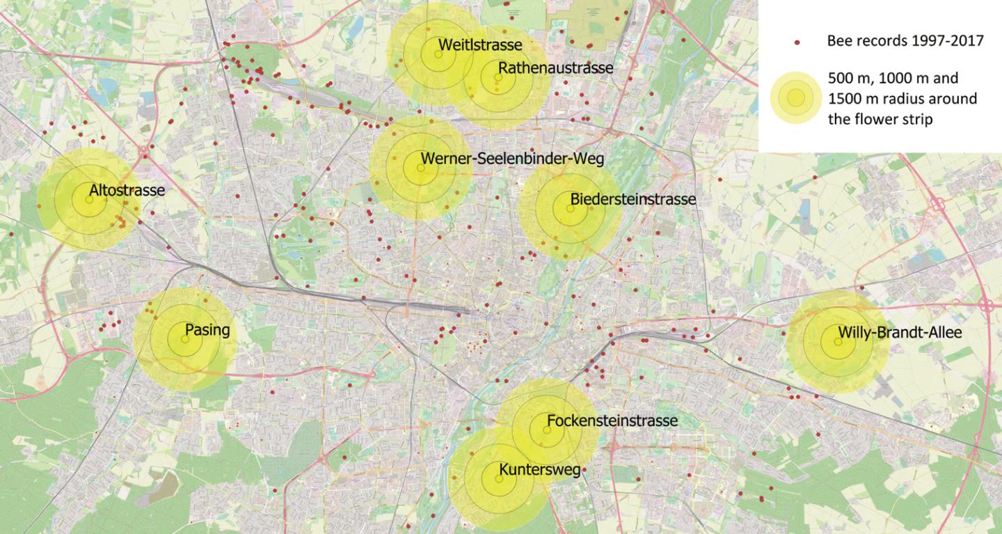 The nine flower strips monitored for this study and Munich's bee records (sightings and/or specimen) between 1997 and 2017